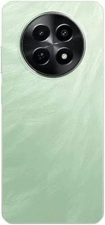 Back Panel with Camera Glass for Realme C65 4G Green