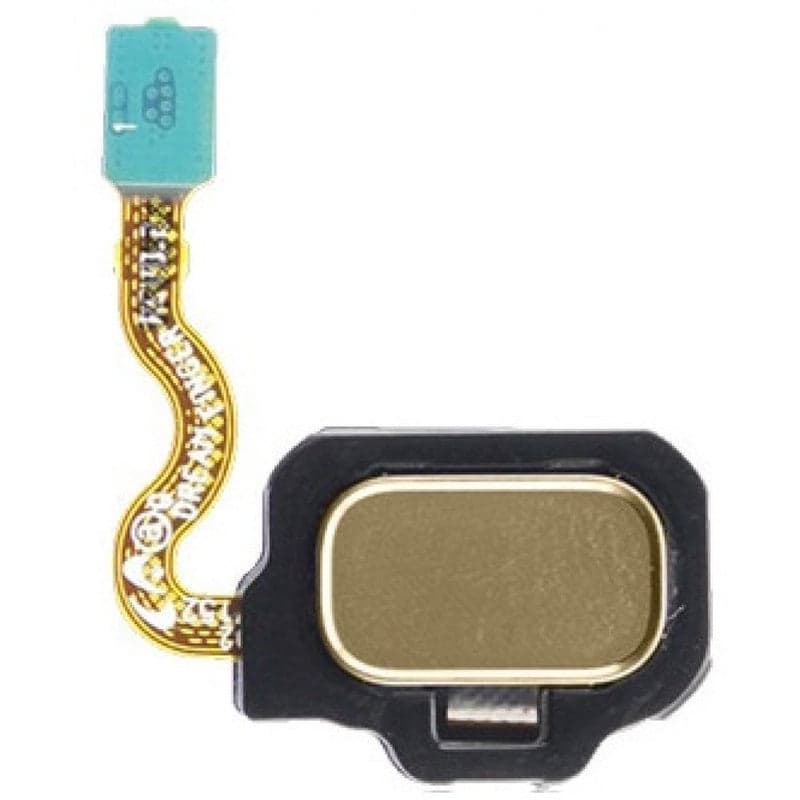 Mozomart Fingerprint Sensor Flex for Samsung Galaxy S8 gold