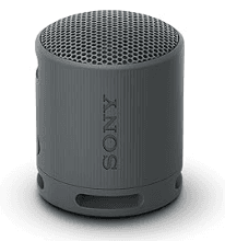 sony x b 100 wireless speaker