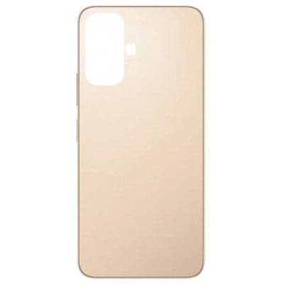 Back Panel for Infinix Smart 10 X6725 Gold