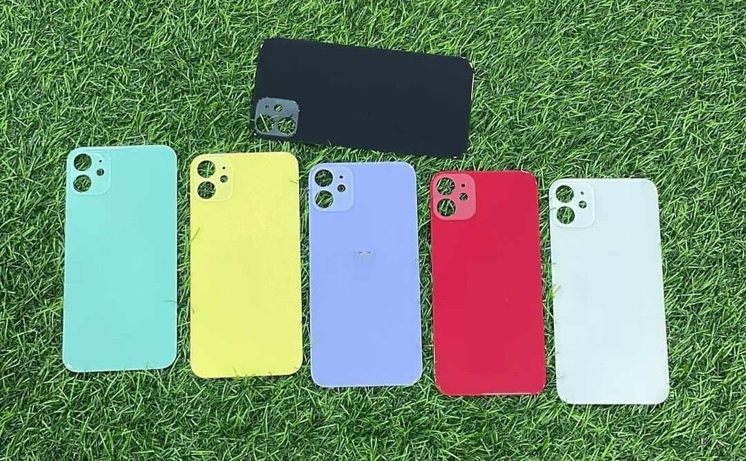 Mozomart Back Panel Glass for iPhone 11 : Black